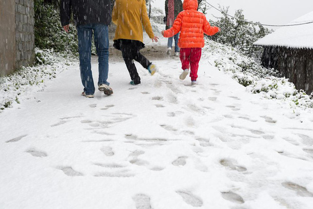 Nhiệt độ Sa Pa xuống dưới 0 độ C, có mưa và tất cả đều đang trông chờ tuyết rơi như 7 năm trước-9