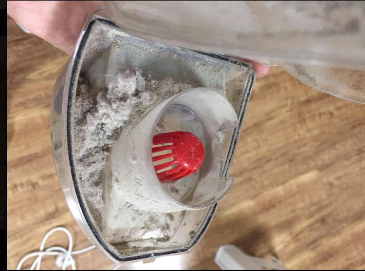 Mấy ngày không dọn mà những sợi lông từ đâu xuất hiện nhiều trong nhà, làm sao để hút sạch?-2