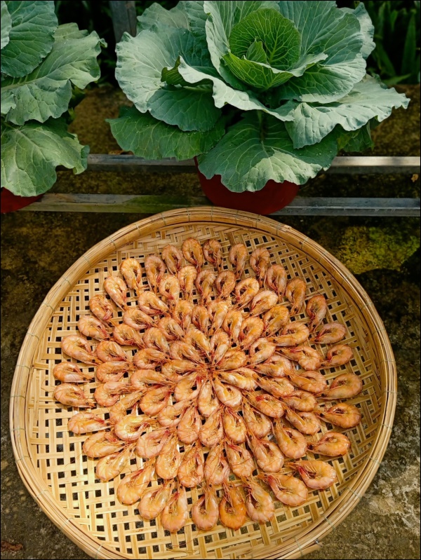 Chuẩn bị đón Tết, mẹ đảm tự làm tôm khô siêu ngon bằng nồi chiên không dầu, công thức đơn giản lại còn tiết kiệm được khối tiền mua bên ngoài-2