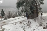 Du khách thích thú nghịch tuyết ở Lào Cai-1