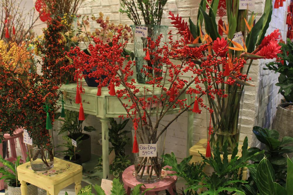 Giá đào đông chơi Tết 30 triệu đồng, nhìn như cây giả mà đắt không tưởng-9