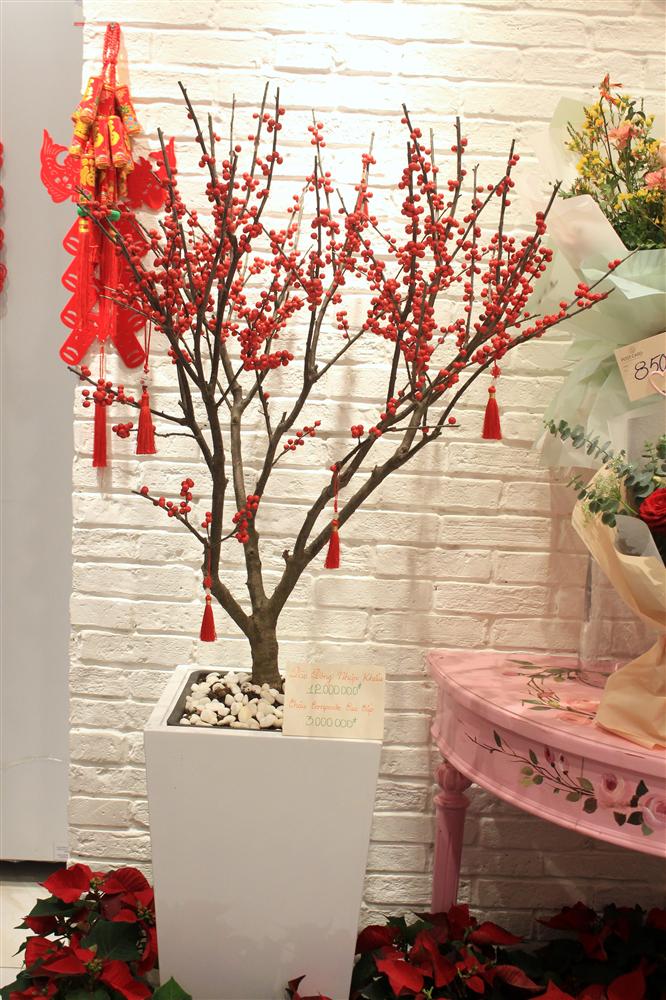 Giá đào đông chơi Tết 30 triệu đồng, nhìn như cây giả mà đắt không tưởng-3