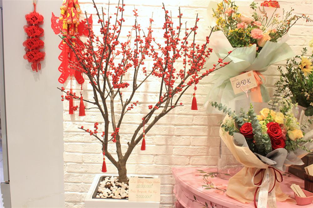 Giá đào đông chơi Tết 30 triệu đồng, nhìn như cây giả mà đắt không tưởng-4