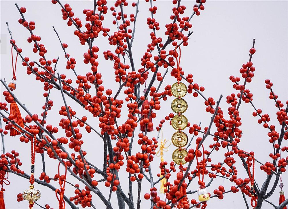 Giá đào đông chơi Tết 30 triệu đồng, nhìn như cây giả mà đắt không tưởng-7