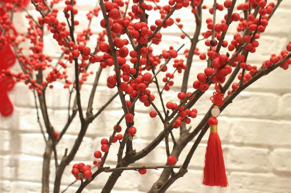 Giá đào đông chơi Tết 30 triệu đồng, nhìn như cây giả mà đắt không tưởng-8