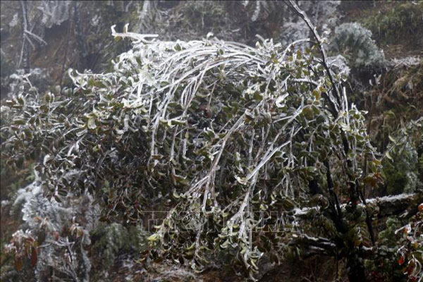 Cập nhật: Hàng trăm ngàn học sinh các tỉnh thành trên cả nước nghỉ học vì rét đậm, rét hại-3