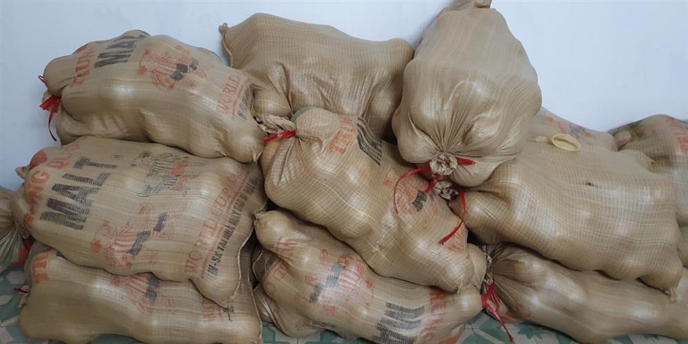 Bưởi Diễn rẻ chưa từng có giá chỉ 3.000 đồng/quả, tiểu thương ngày bán cả nghìn quả-5