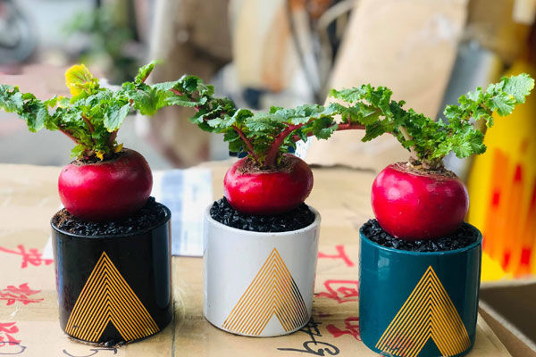 6 kinh nghiệm đúc rút sau bao lần lo Tết chỉ với 10 triệu đồng là đầy đủ tất tật của người vợ trẻ 32 tuổi-5