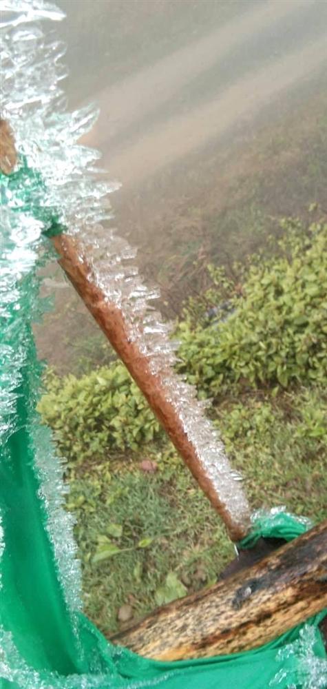 Nhiều nơi ở Nghệ An xuất hiện băng giá, cây cối, vật dụng đều bị đóng băng-4