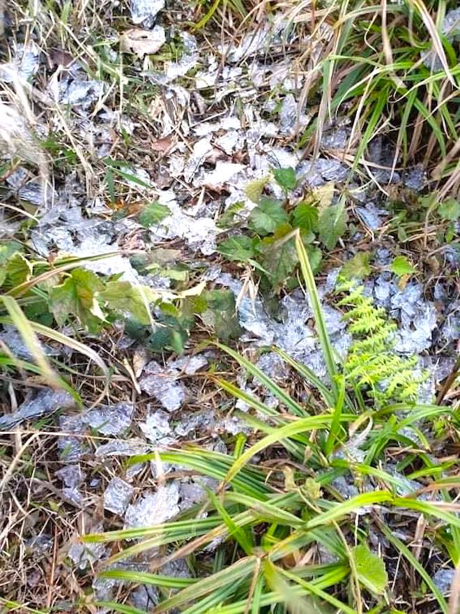 Nhiều nơi ở Nghệ An xuất hiện băng giá, cây cối, vật dụng đều bị đóng băng-5