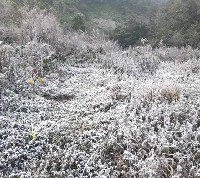 Nhiều nơi ở Nghệ An xuất hiện băng giá, cây cối, vật dụng đều bị đóng băng-13