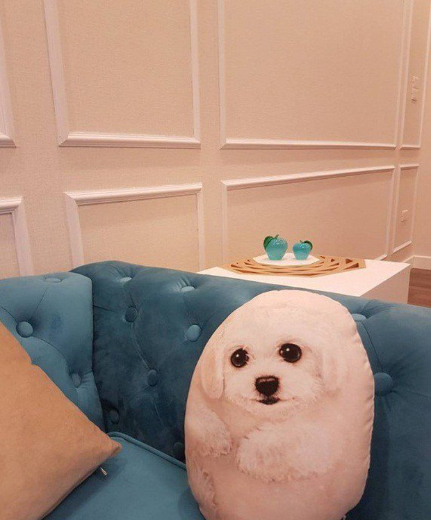 Cơ ngơi của MC Vân Hugo: 1 căn hộ cao cấp ở Hà Nội, 1 biệt thự trắng ở Sài Gòn, nhìn đâu cũng mê-4