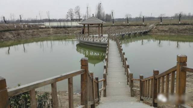 Một người mẹ có thể xúi bẩy con làm những điều tồi tệ đến mức nào: Vụ án có thật 5 năm trước khiến dân tình phẫn nộ đỉnh điểm-2