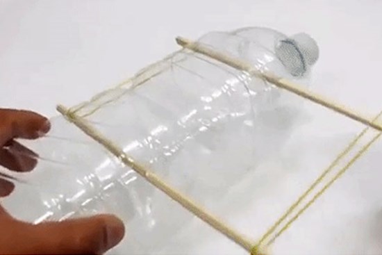 Cách bẫy chuột bách phát bách trúng: Chỉ cần 1 đôi đũa và 1 chiếc chai nhựa