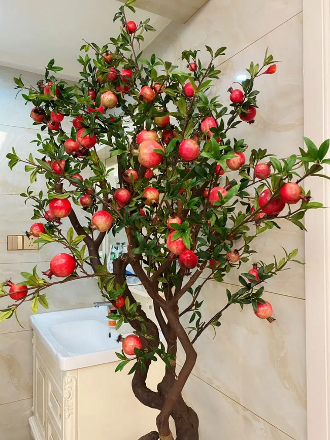 Chậu cây lựu giả mang ý nghĩa phong thủy dù giá 1-4 triệu/cây vẫn hút bà nội trợ-7