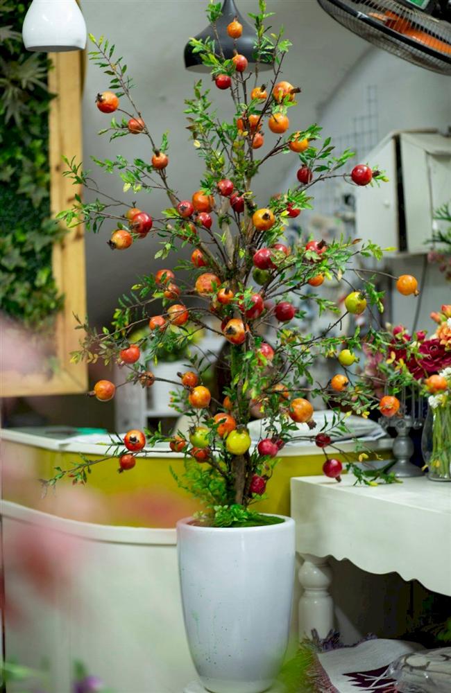 Chậu cây lựu giả mang ý nghĩa phong thủy dù giá 1-4 triệu/cây vẫn hút bà nội trợ-2