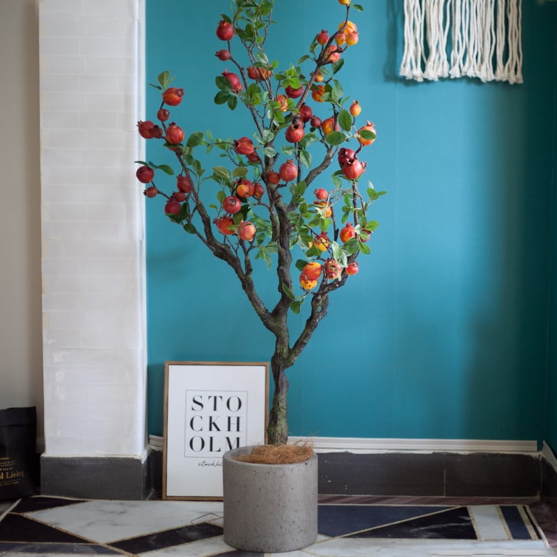 Chậu cây lựu giả mang ý nghĩa phong thủy dù giá 1-4 triệu/cây vẫn hút bà nội trợ-5