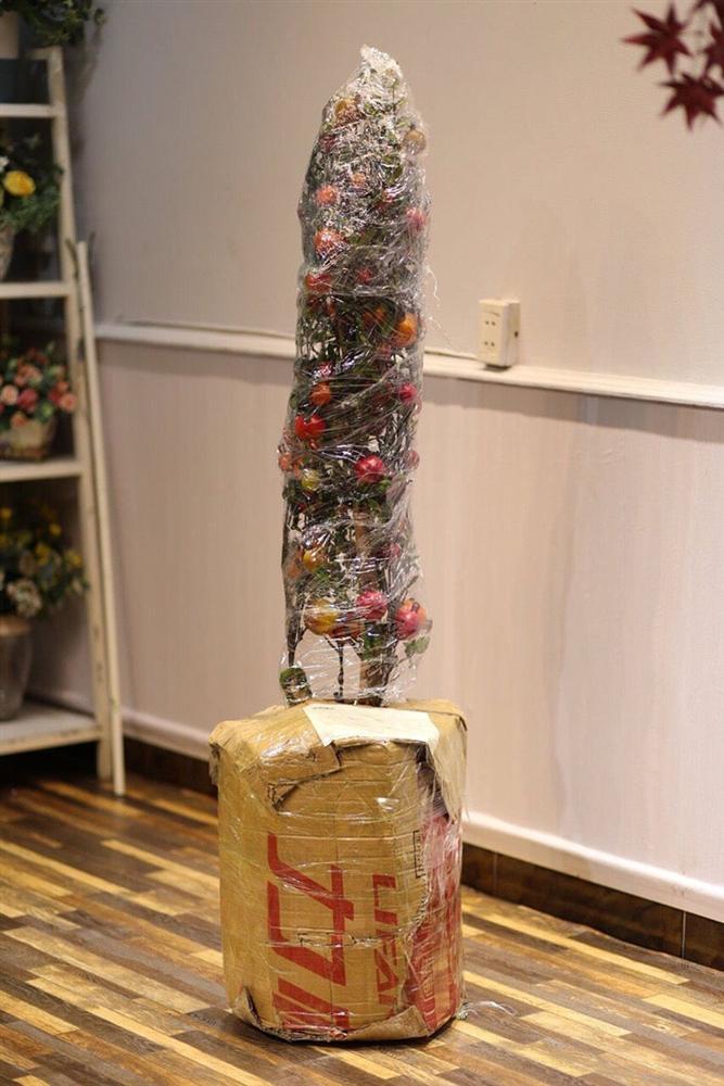 Chậu cây lựu giả mang ý nghĩa phong thủy dù giá 1-4 triệu/cây vẫn hút bà nội trợ-6