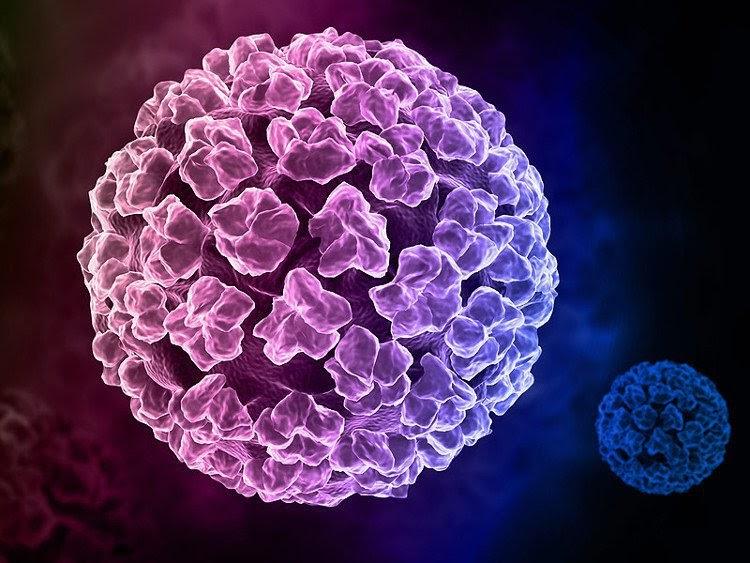 Sự thật ít người biết về vi rút HPV - Tác nhân chính gây ung thư cổ tử cung-1