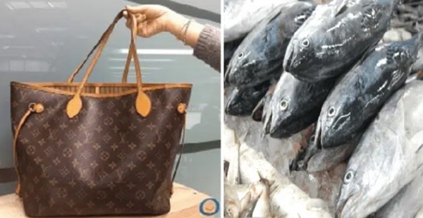 Mạnh tay mua túi xách hiệu LV chục triệu tặng bà ngoại, cô gái sốc khi thấy cách bà sử dụng món quà nhưng không dám trách móc nửa lời-2