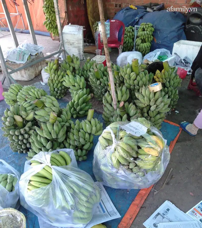 Bỏ 25 triệu đồng mua cả vườn chuối, tiểu thương thắng đậm gấp đôi khi bán 10 ngày Tết-5