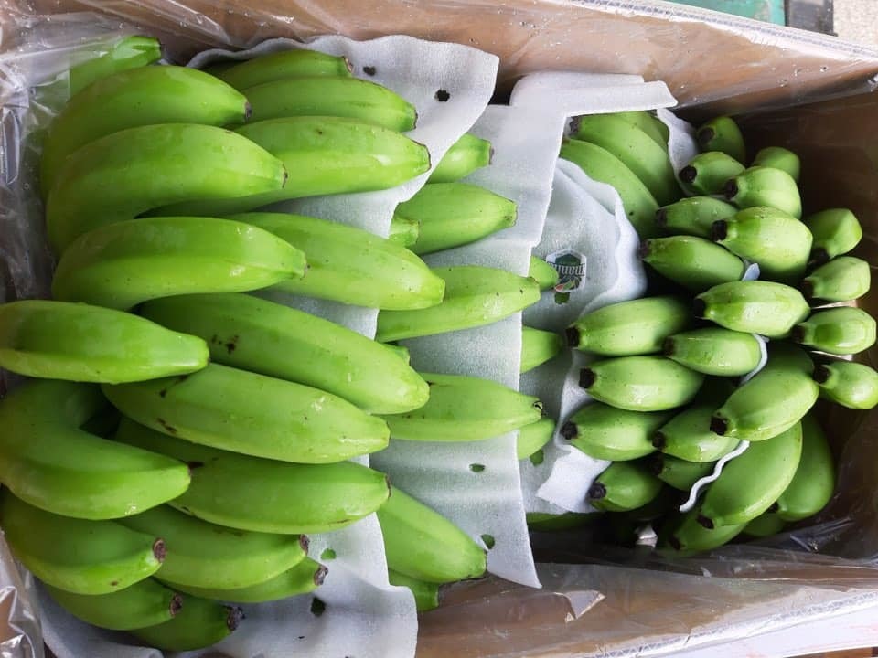 Bỏ 25 triệu đồng mua cả vườn chuối, tiểu thương thắng đậm gấp đôi khi bán 10 ngày Tết-4