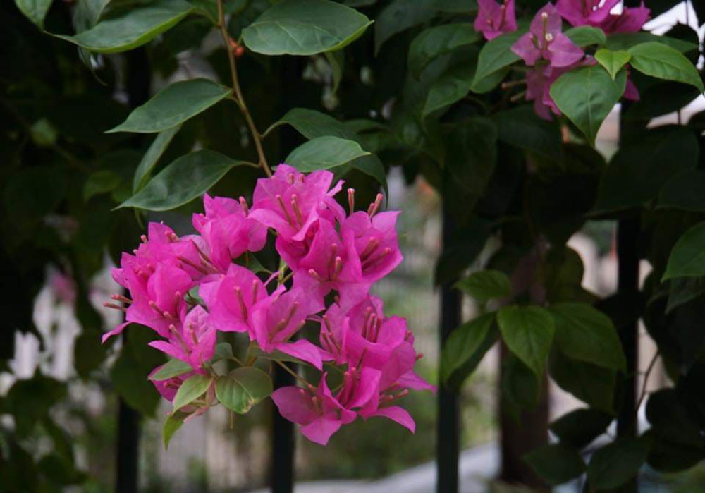 Đắn đo nói sự thật với người yêu cũ sau 8 năm bí mật sinh con-1