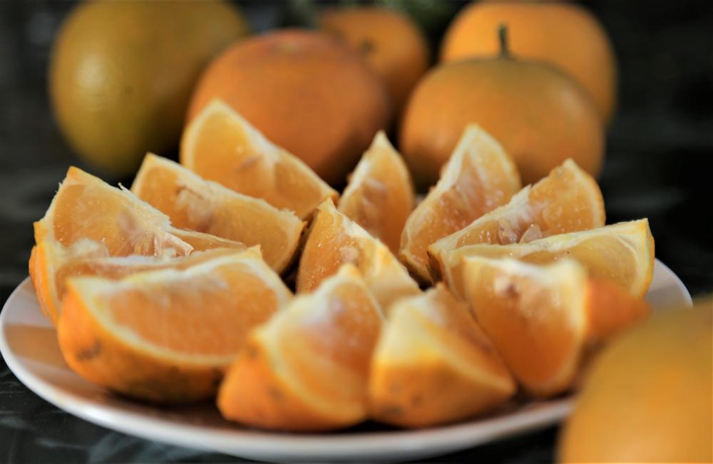 80.000 đồng một quả, cam Xã Đoài không đủ bán dịp Tết-13