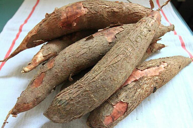 Từ vụ trẻ tử vong do ngộ độc sắn: Khi ăn sắn đừng để mất mạng vì thiếu hiểu biết!-1