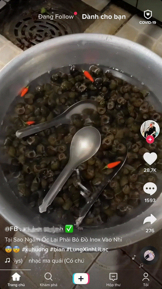 Tuyển tập bí kíp cho hội chị em mê nghêu sò ốc hến: Dắt túi ngay để khỏi cần băn khoăn mỗi lần vào bếp!-1