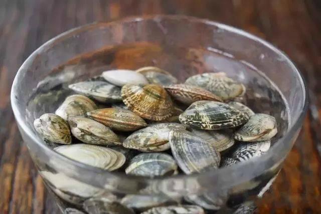 Tuyển tập bí kíp cho hội chị em mê nghêu sò ốc hến: Dắt túi ngay để khỏi cần băn khoăn mỗi lần vào bếp!-3