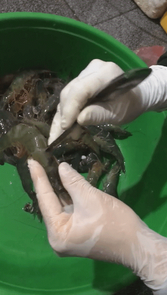 Tuyển tập bí kíp cho hội chị em mê nghêu sò ốc hến: Dắt túi ngay để khỏi cần băn khoăn mỗi lần vào bếp!-4