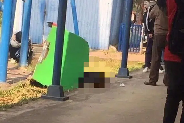 Đình chỉ hoạt động khu du lịch Đảo Ngọc Xanh sau sự cố tàu lượn khiến 1 học sinh tử vong-3