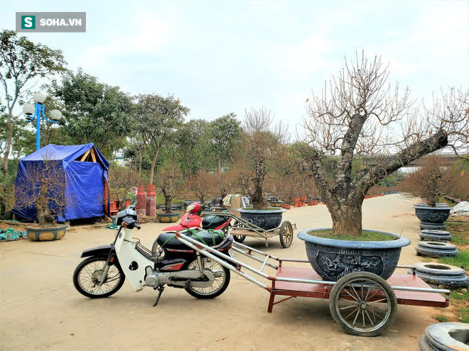 Chiêu kiếm 1 triệu đồng/ngày của cánh xe ôm ngày cận Tết-1