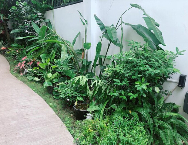 Biệt thự của Lý Hải - Minh Hà: Nhìn giản dị mà tổng giá trị cao đến bất ngờ-10