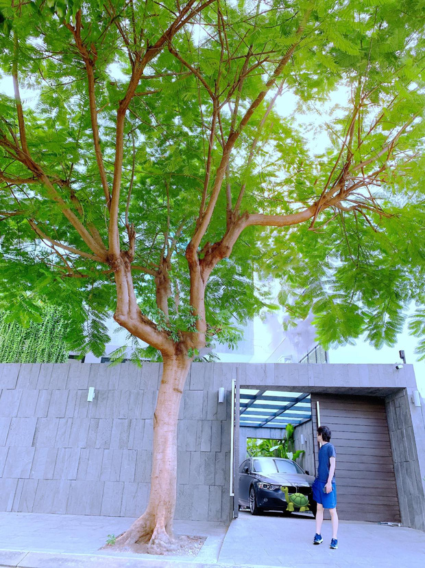 Hé lộ không gian sống của Mr Siro, bước vào sân đã thấy ngay khối tài sản khổng lồ-1