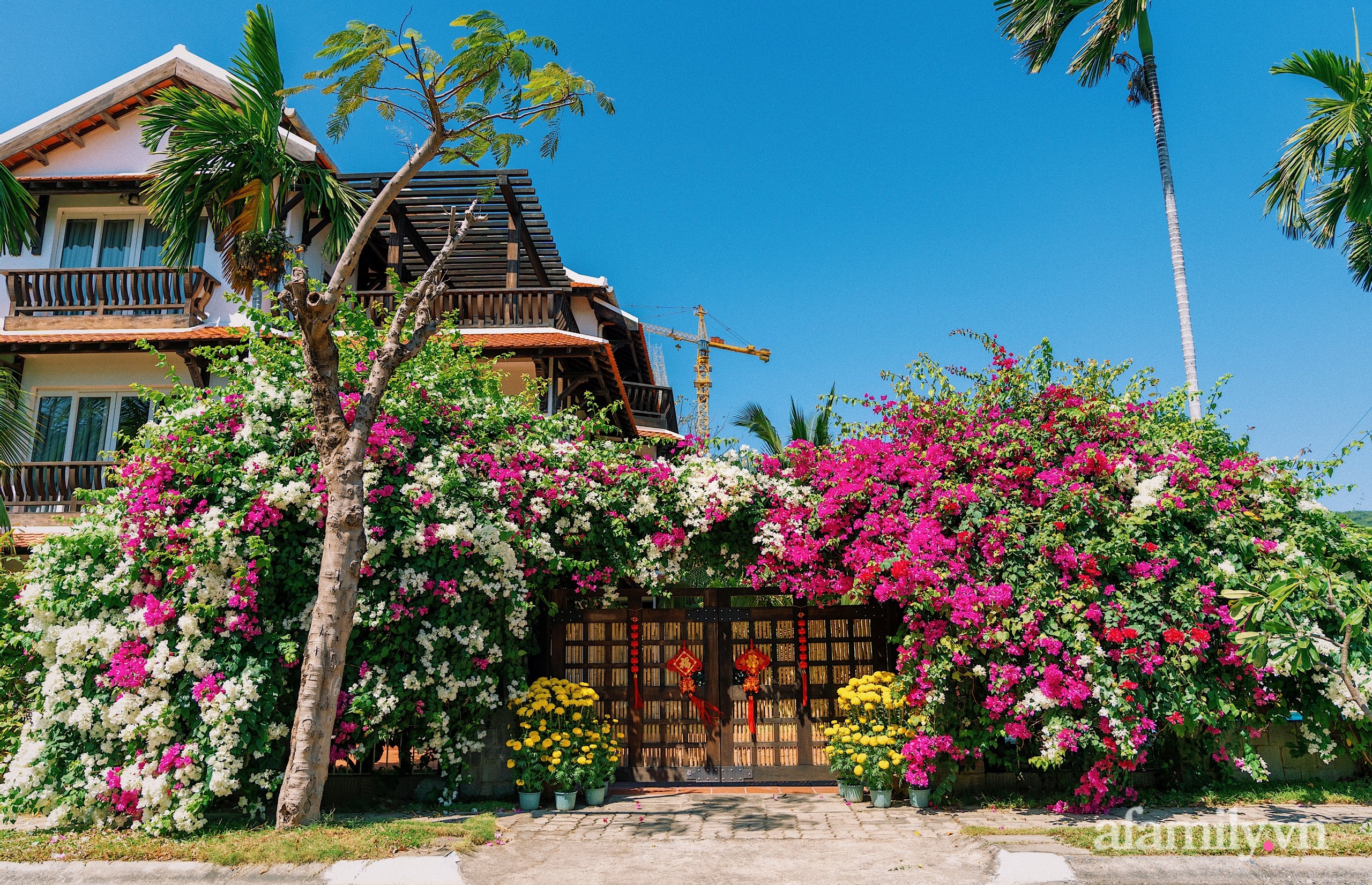 Căn nhà vườn xây 10 năm vẫn đẹp hút mắt với nội thất gỗ và cây xanh quanh nhà ở Nha Trang-1