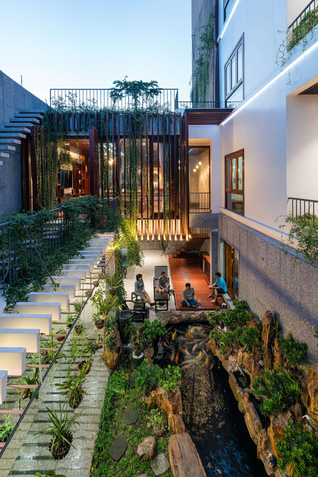 Nhà phố được cải tạo thành nơi trồng rau nuôi cá đúng chất, khu vườn trên mái là mơ ước của nhiều gia đình-5