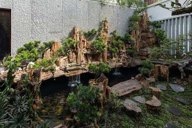 Nhà phố được cải tạo thành nơi trồng rau nuôi cá đúng chất, khu vườn trên mái là mơ ước của nhiều gia đình-6