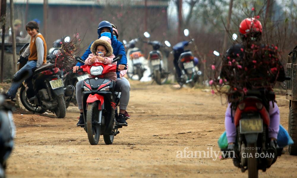 Đào được mùa cắt tới đâu bán hết tới đó, người dân Nhật Tân phấn khởi vì Tết năm nay bánh chưng có thịt!-1