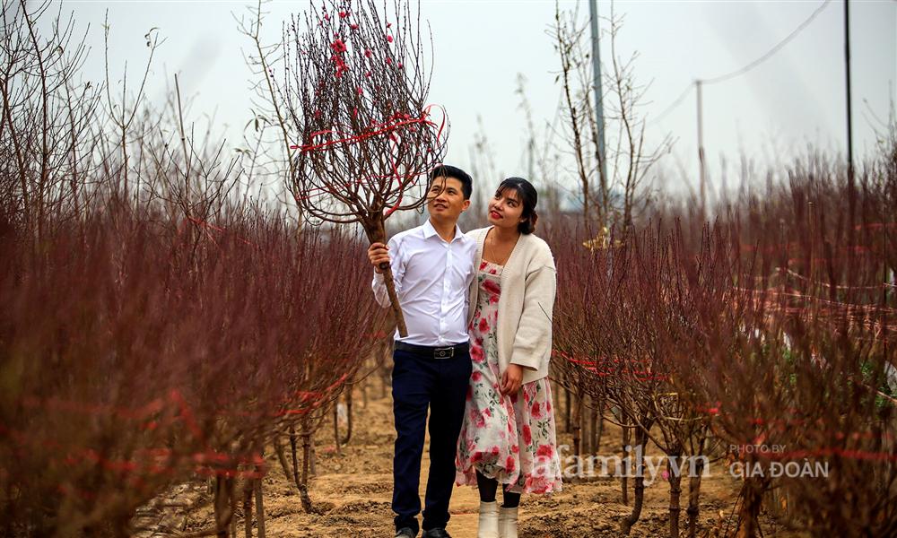 Đào được mùa cắt tới đâu bán hết tới đó, người dân Nhật Tân phấn khởi vì Tết năm nay bánh chưng có thịt!-10