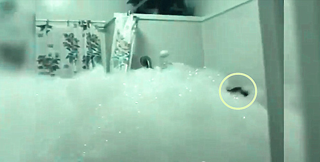 Con gái tự tắm 2 tiếng chưa thấy xong, bố mẹ chạy vào thì bàng hoàng với cảnh tượng trước mắt-2