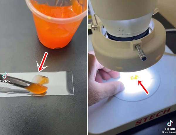 SỰ THẬT về tương ớt vỉa hè khi được soi dưới kính hiển vi: Chứa cả xác động vật, vô vàn vi khuẩn bơi tưng bừng khiến người xem hú hồn hú vía!-1