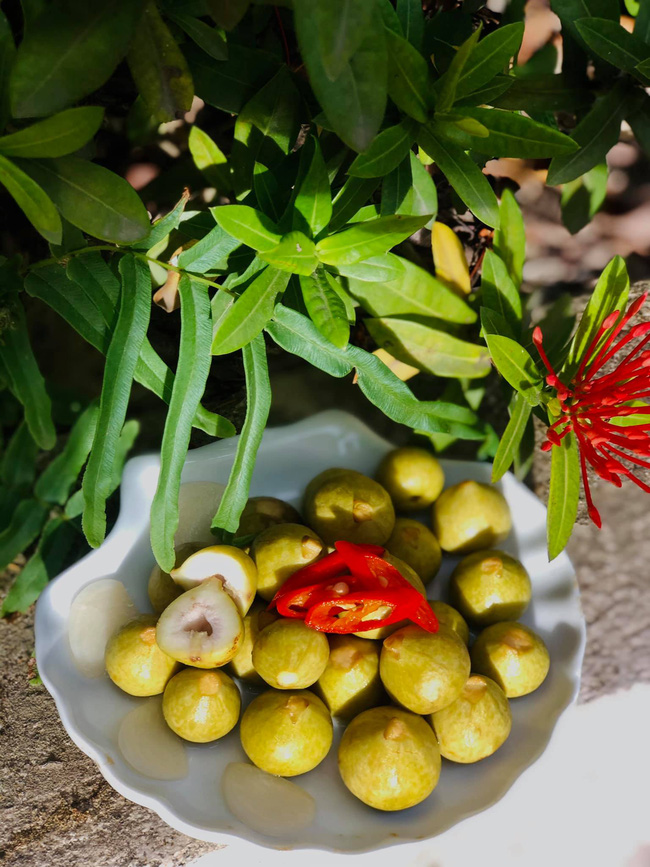 Sung muối xổi và sung muối chua - 2 món ăn giúp các chị em chống ngán giữa các món ăn nhiều đạm trong ngày Tết-7