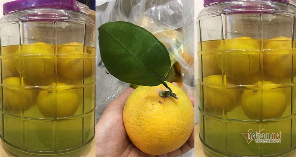 Hàng độc thưởng Tết của xứ Nghệ, rượu quê ngâm cam tiến vua-5