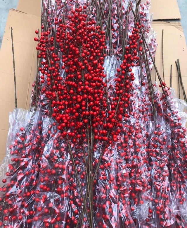 Giới nhà giàu Việt đốt hàng chục triệu đồng mua đào đông đỏ chơi Tết-1