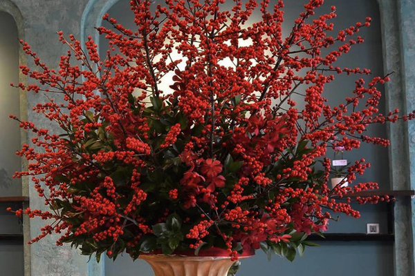 Cập nhật nhanh giá 6 loại hoa ngoại đang mở bán online ầm ầm trên thị trường cho chị em ước lượng mua về cắm chơi Tết-9