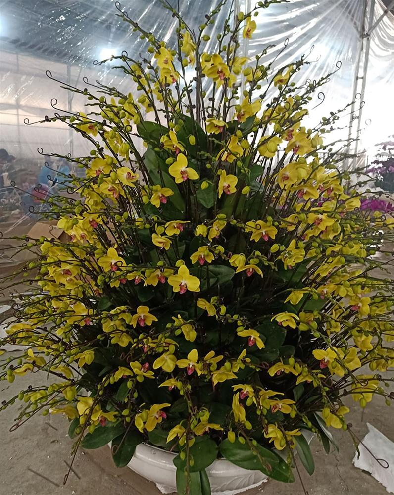 Đến hẹn lại lên, hai chàng kỹ sư đút túi hơn 100 triệu ăn Tết-2