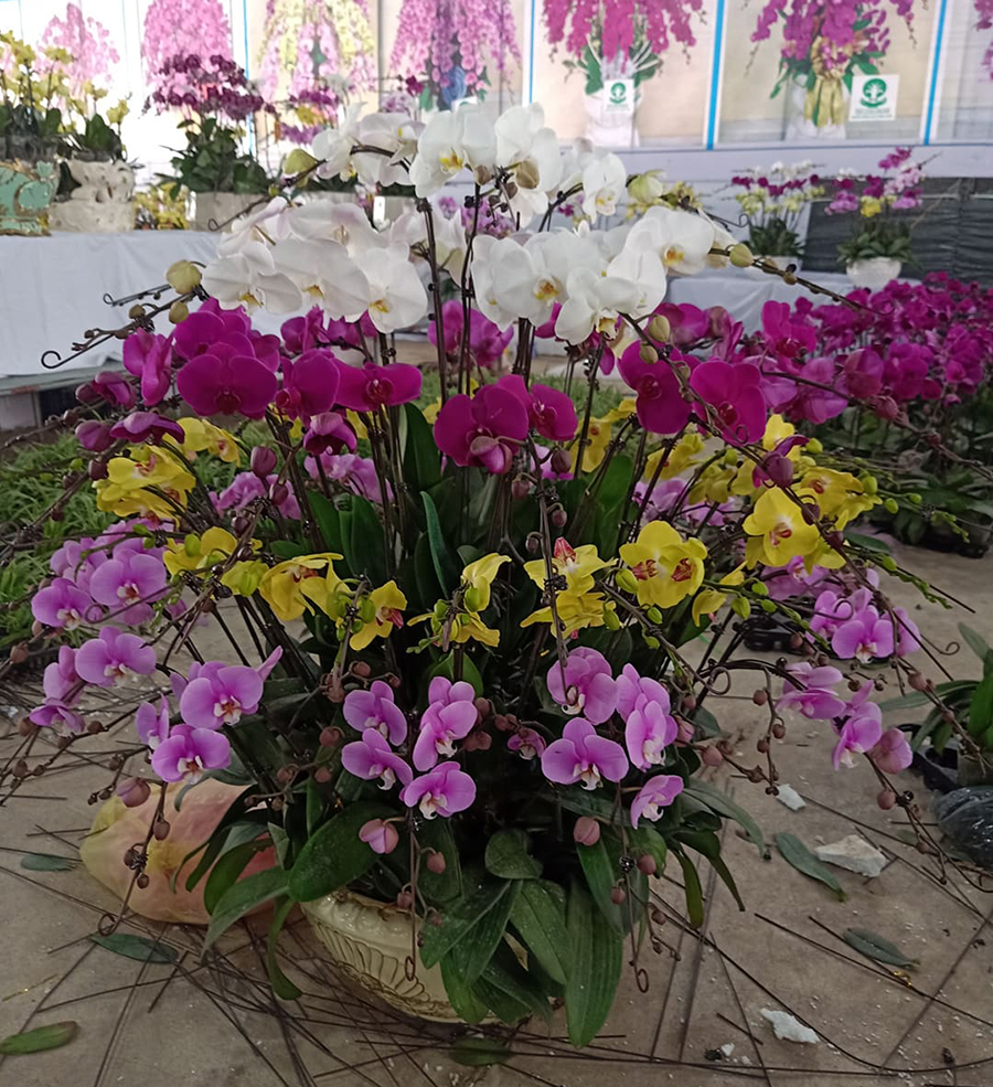 Đến hẹn lại lên, hai chàng kỹ sư đút túi hơn 100 triệu ăn Tết-3