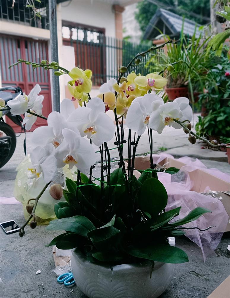 Đến hẹn lại lên, hai chàng kỹ sư đút túi hơn 100 triệu ăn Tết-5